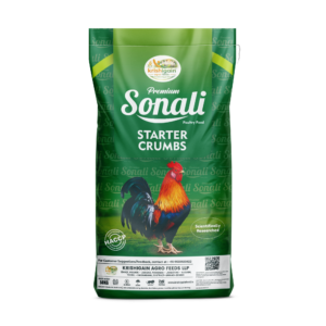 Sonali--Starter-crumbs