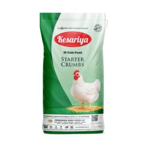 kesariya-starter-crumbs